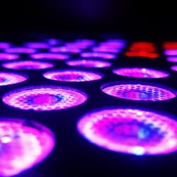 imran-ali-BqEvVaqcLXc-unsplash