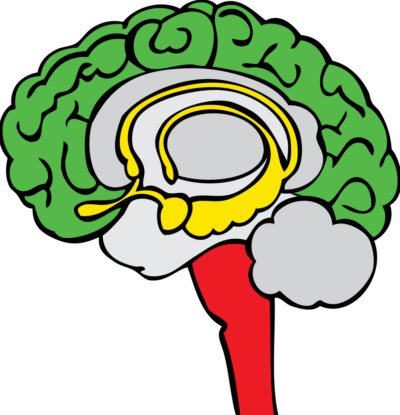 redgreenbrain